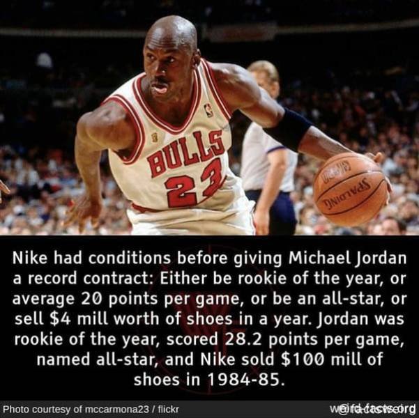 Interesting Facts (49 pics)