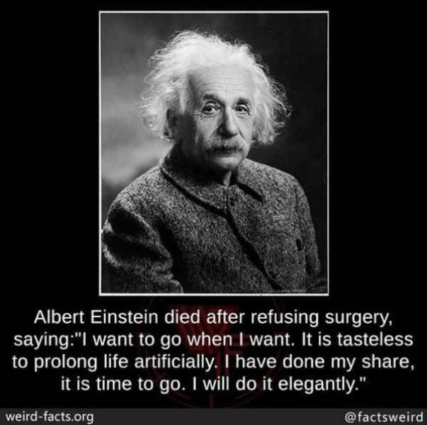 Interesting Facts (49 pics)