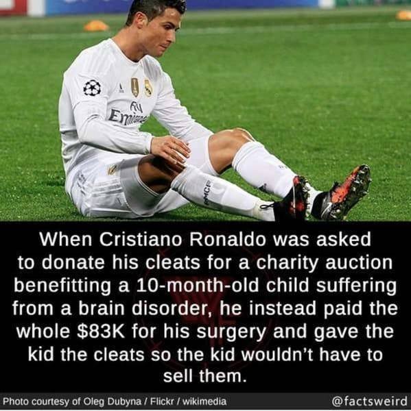 Interesting Facts (49 pics)