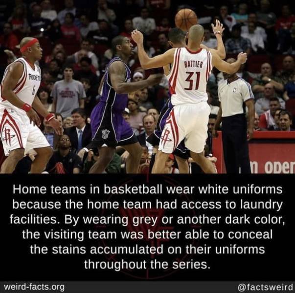 Interesting Facts (49 pics)