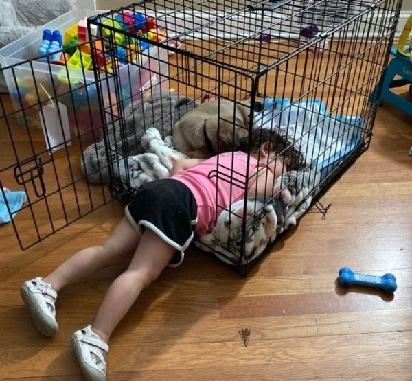Friendship Between People And Animals (18 pics) Friendship Between People And Animals (18 pics)