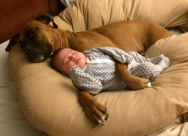 Friendship Between People And Animals (18 pics) Friendship Between People And Animals (18 pics)