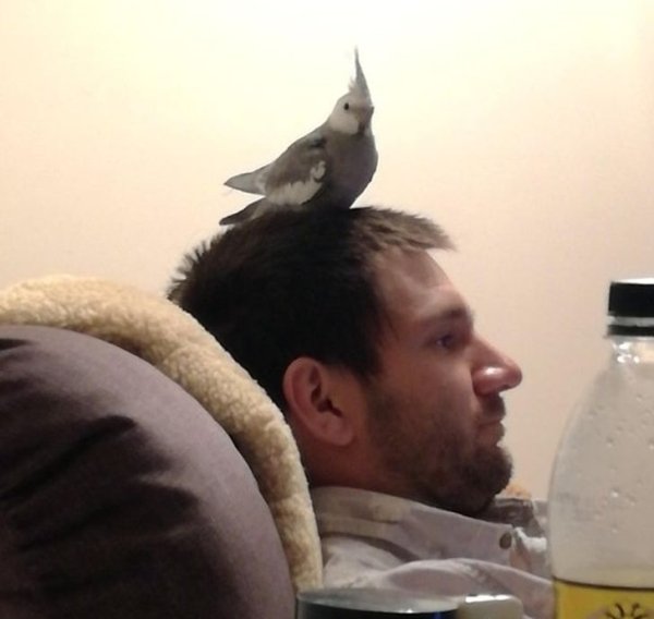 Friendship Between People And Animals (18 pics) Friendship Between People And Animals (18 pics)