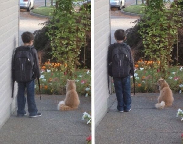 Friendship Between People And Animals (18 pics) Friendship Between People And Animals (18 pics)