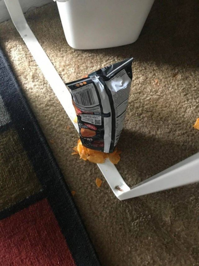 Bad Days Happen (35 pics)