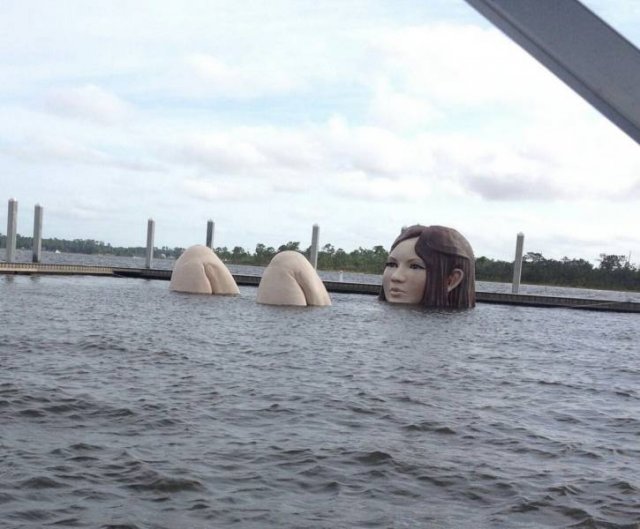 Acid Picdump 1 (82 pics)