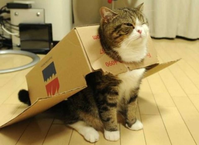 Acid Picdump 1 (82 pics)