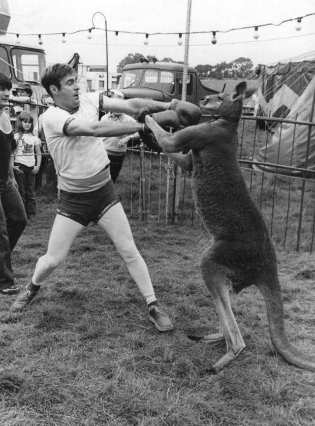 Acid Picdump 1 (82 pics)