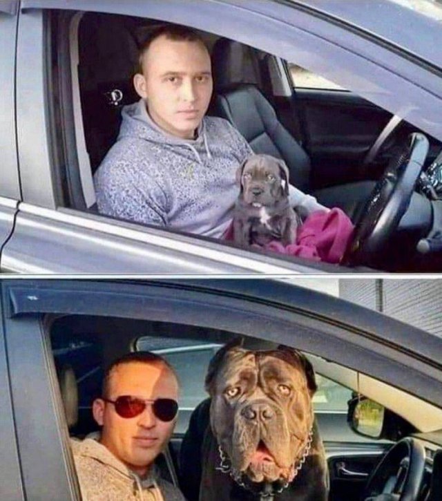 Acid Picdump 1 (82 pics)