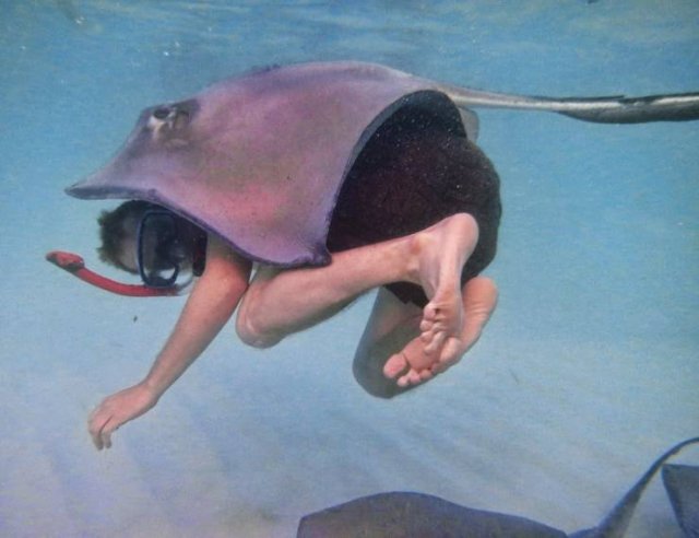 Acid Picdump 1 (82 pics)