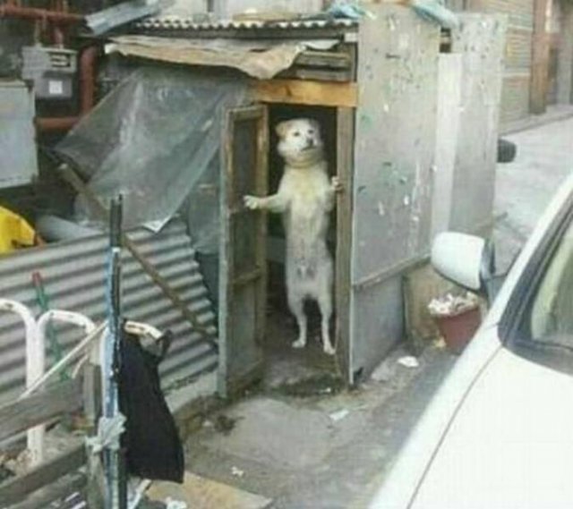 Acid Picdump 1 (82 pics)