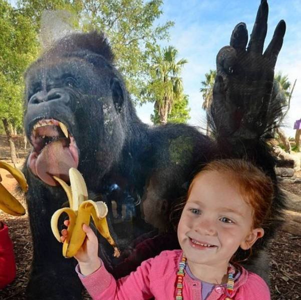 Acid Picdump 1 (82 pics)