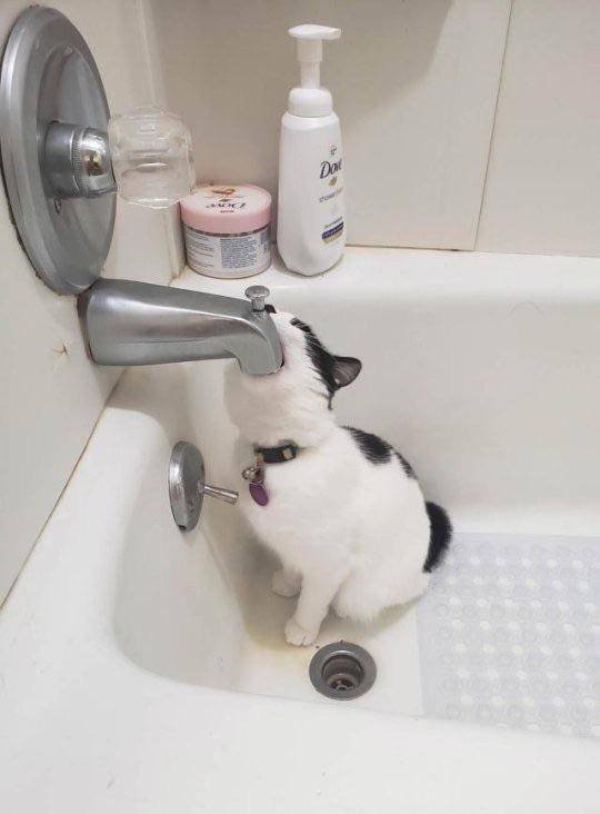 Acid Picdump 1 (82 pics)