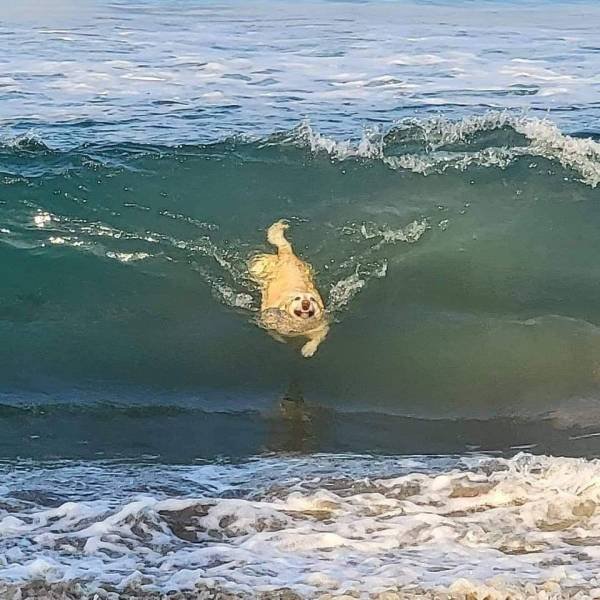 Acid Picdump 1 (82 pics)