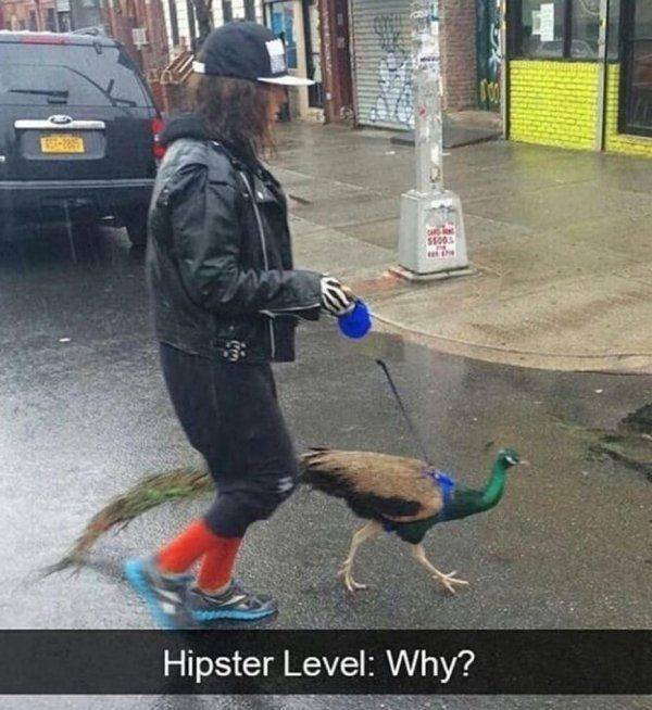 Acid Picdump 1 (82 pics)
