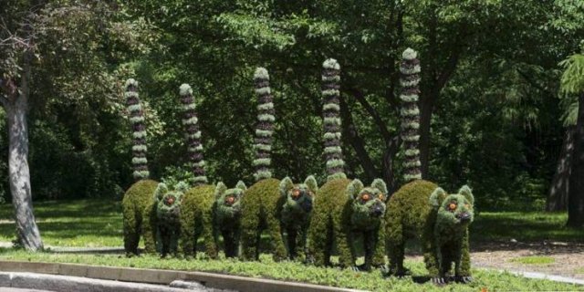 Acid Picdump 2 (80 pics)