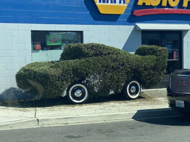 Acid Picdump 1 (82 pics)