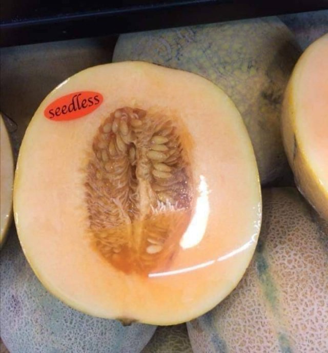 Acid Picdump 1 (82 pics)