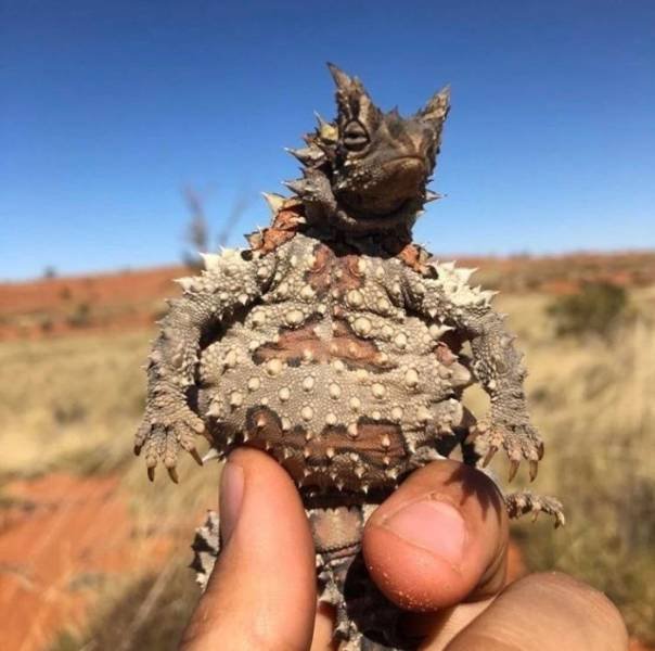 Acid Picdump 1 (82 pics)