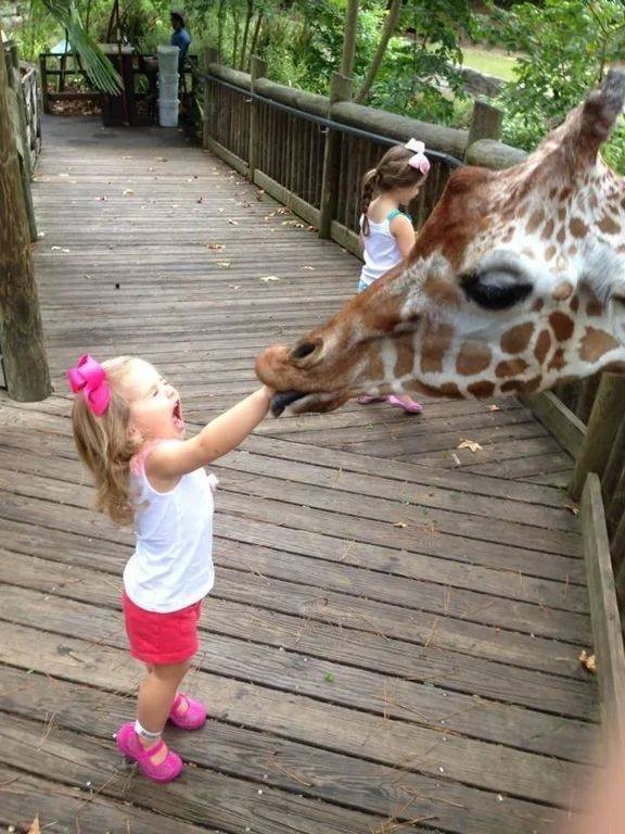 Acid Picdump 1 (82 pics)