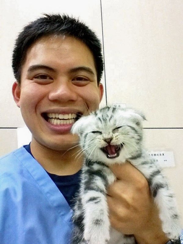 Veterinarians Share Their Patients (32 pics)