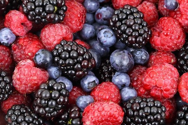 Nutrition Facts (13 pics)
