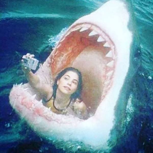 Acid Picdump 2 (80 pics)