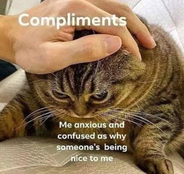 Acid Picdump 2 (80 pics)