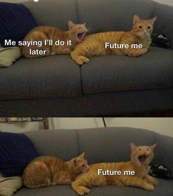 Acid Picdump 2 (80 pics)