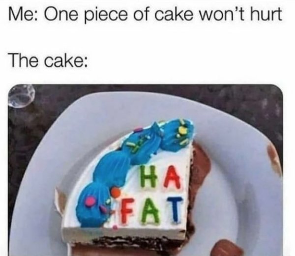 Fat Memes (29 pics)