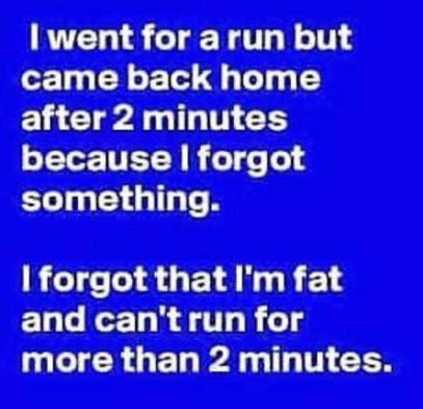 Fat Memes (29 pics)