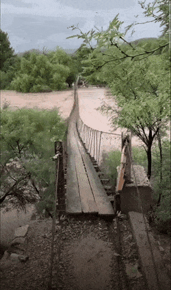 Acid Gifdump, July 28 (25 gifs)