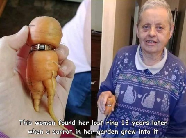Acid Picdump 2 (82 pics)