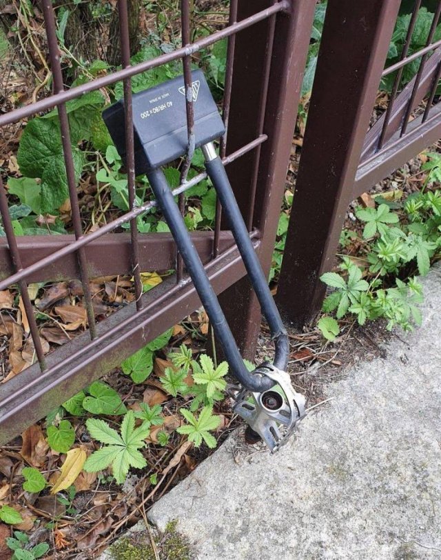 Acid Picdump 2 (82 pics)