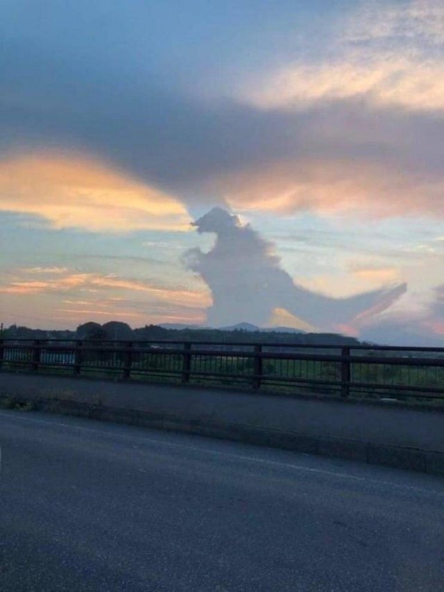 Acid Picdump 2 (82 pics)