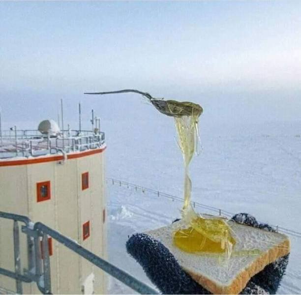 Acid Picdump 2 (82 pics)