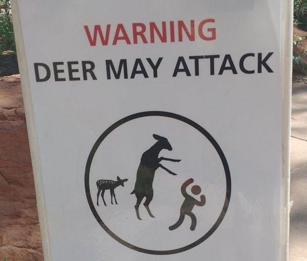 Weird Signs (34 pics)