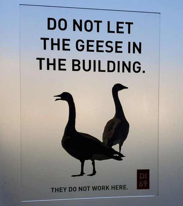 Weird Signs (34 pics)
