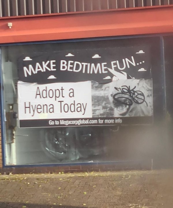 Weird Signs (34 pics)