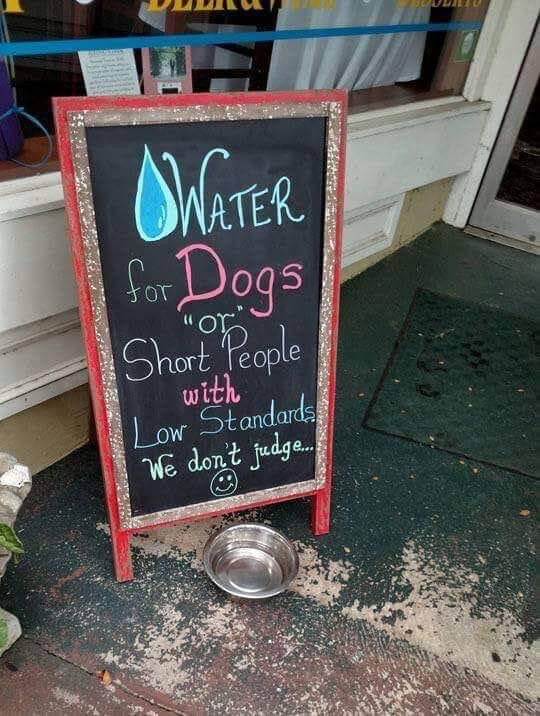 Weird Signs (34 pics)