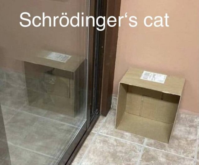 Acid Picdump 2 (82 pics)