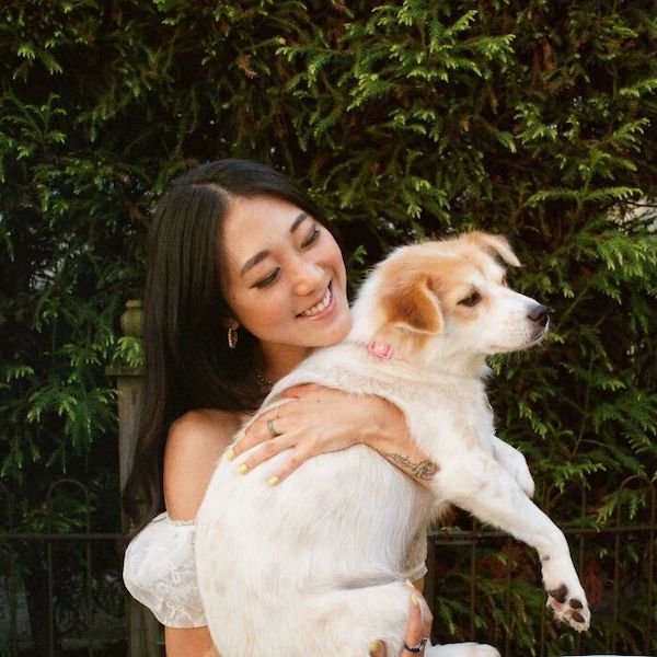 Rescued Pets (28 pics)