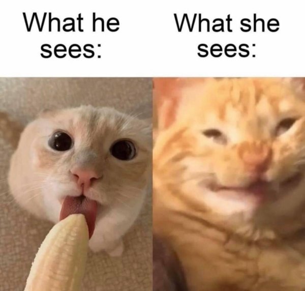 Memes For Grown-Ups (34 pics)