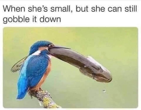 Memes For Grown-Ups (34 pics)