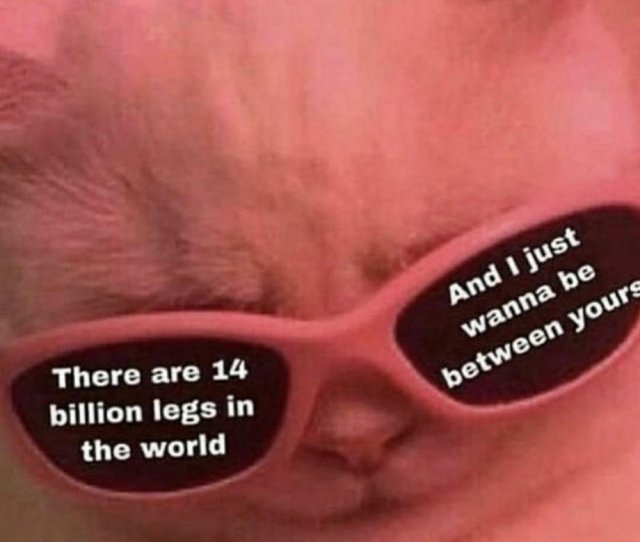 Memes For Grown-Ups (34 pics)