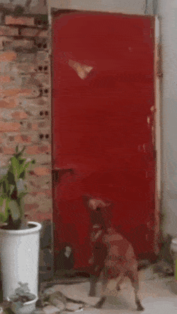 Acid Gifdump, July 29 (25 gifs)