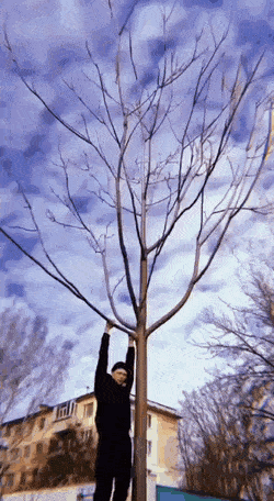 Acid Gifdump, July 29 (25 gifs)