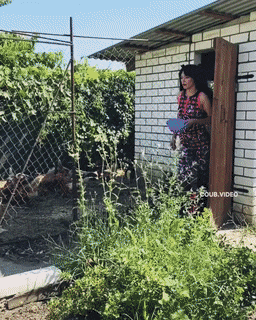 Acid Gifdump, July 29 (25 gifs)