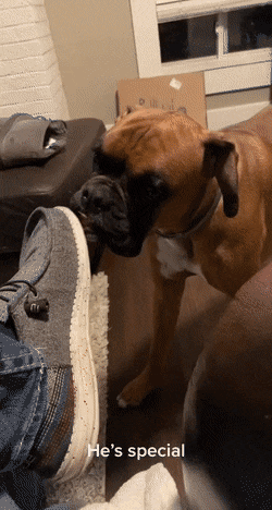 Acid Gifdump, July 29 (25 gifs)
