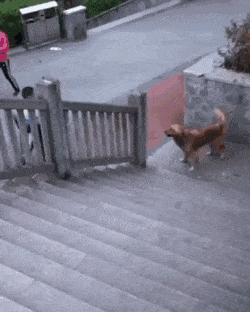 Acid Gifdump, July 29 (25 gifs)